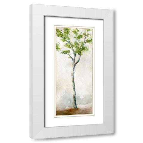 Watercolor Birch Trees II White Modern Wood Framed Art Print with Double Matting by Milan, Vittorio