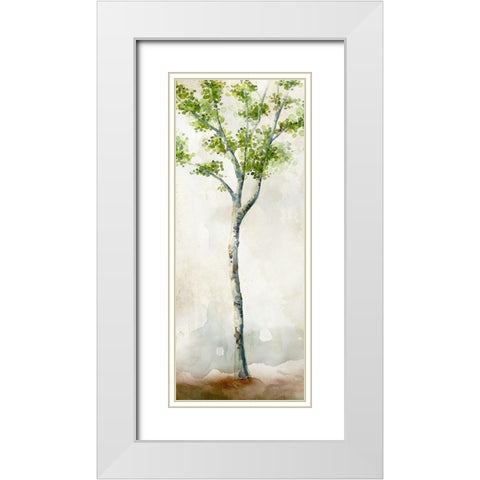 Watercolor Birch Trees II White Modern Wood Framed Art Print with Double Matting by Milan, Vittorio