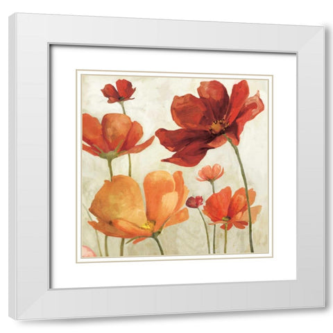 Spice Garden II   White Modern Wood Framed Art Print with Double Matting by Milan, Vittorio