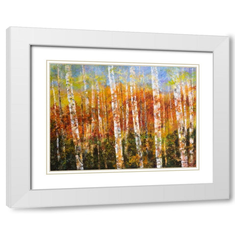 Autumn View White Modern Wood Framed Art Print with Double Matting by Green, Edith
