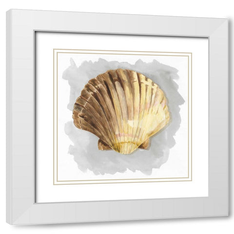Shells on Grey V White Modern Wood Framed Art Print with Double Matting by Reed, Tara