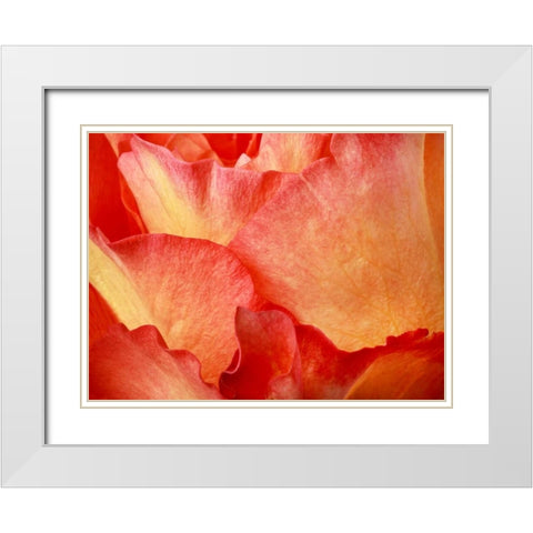 Fire  White Modern Wood Framed Art Print with Double Matting by Michal, Susan