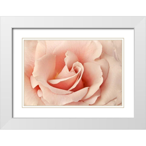Rosa White Modern Wood Framed Art Print with Double Matting by Michal, Susan