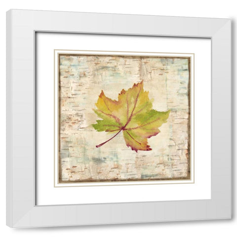 Nature Walk Leaves III White Modern Wood Framed Art Print with Double Matting by Coulter, Cynthia