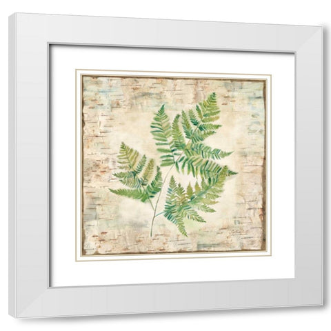 Birch Bark Ferns I White Modern Wood Framed Art Print with Double Matting by Coulter, Cynthia
