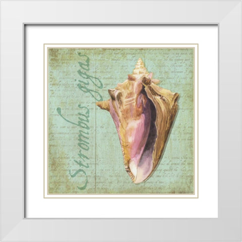 Oceanum Shells Green I White Modern Wood Framed Art Print with Double Matting by Reed, Tara