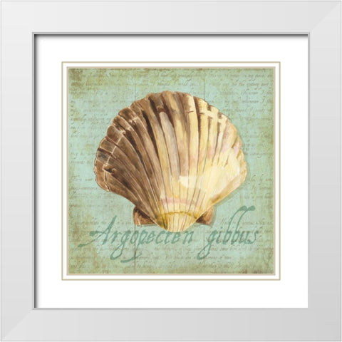 Oceanum Shells Green V White Modern Wood Framed Art Print with Double Matting by Reed, Tara