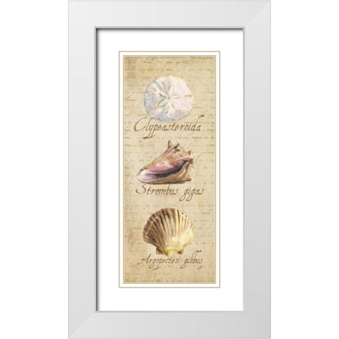 Oceanum Shell Panel Beige I White Modern Wood Framed Art Print with Double Matting by Reed, Tara