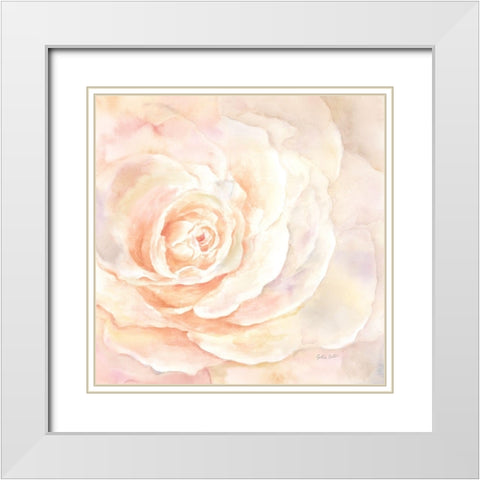 Blush Rose Closeup I White Modern Wood Framed Art Print with Double Matting by Coulter, Cynthia
