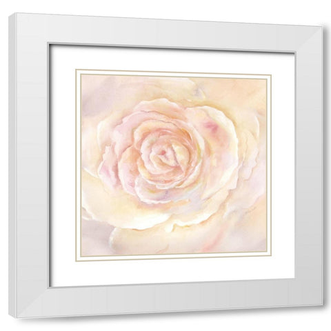 Blush Rose Closeup II White Modern Wood Framed Art Print with Double Matting by Coulter, Cynthia