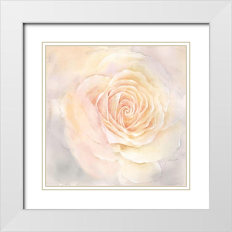 Blush Rose Closeup III White Modern Wood Framed Art Print with Double Matting by Coulter, Cynthia