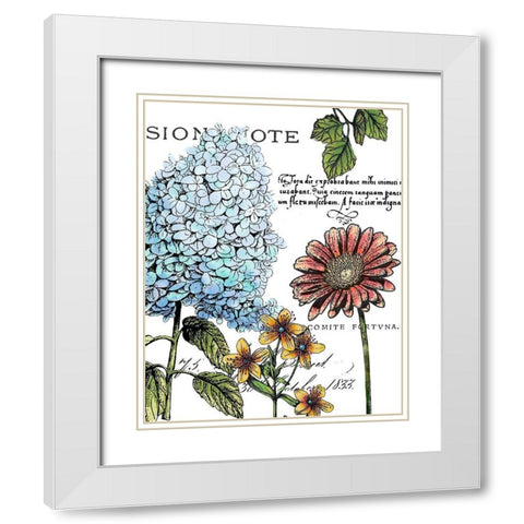 Botanical Postcard Color I White Modern Wood Framed Art Print with Double Matting by Cusson, Marie Elaine