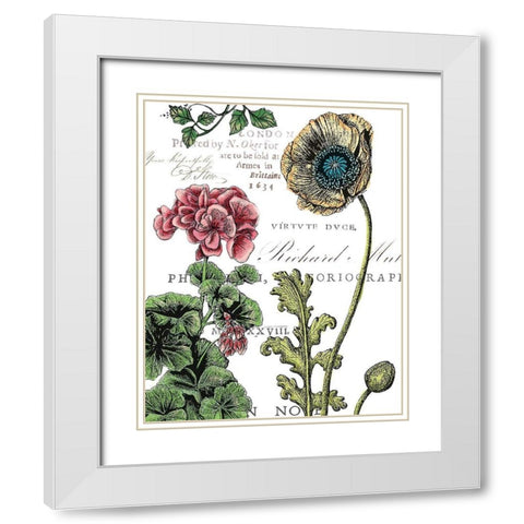 Botanical Postcard Color III White Modern Wood Framed Art Print with Double Matting by Cusson, Marie Elaine
