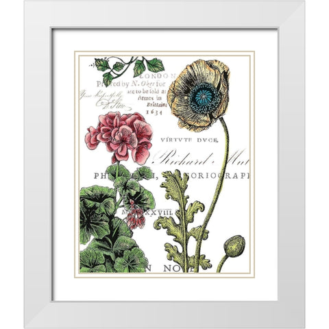 Botanical Postcard Color III White Modern Wood Framed Art Print with Double Matting by Cusson, Marie Elaine