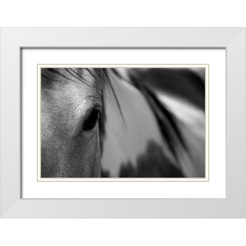 One Eye White Modern Wood Framed Art Print with Double Matting by Tyrrell, Lu Anne