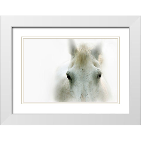 Blanco White Modern Wood Framed Art Print with Double Matting by Tyrrell, Lu Anne