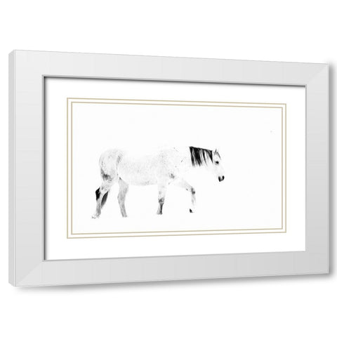 Equine White Modern Wood Framed Art Print with Double Matting by Tyrrell, Lu Anne