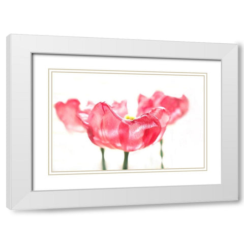 Three Tulips White Modern Wood Framed Art Print with Double Matting by Tyrrell, Lu Anne