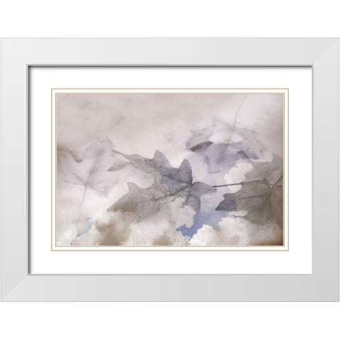 Shadow Leaves White Modern Wood Framed Art Print with Double Matting by Tyrrell, Lu Anne