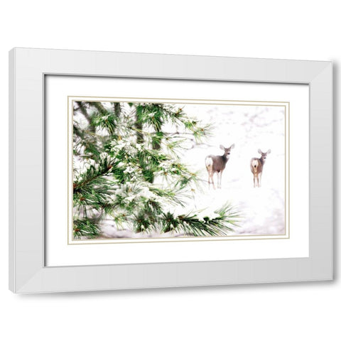 Winters Dream White Modern Wood Framed Art Print with Double Matting by Tyrrell, Lu Anne
