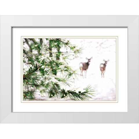 Winters Dream White Modern Wood Framed Art Print with Double Matting by Tyrrell, Lu Anne