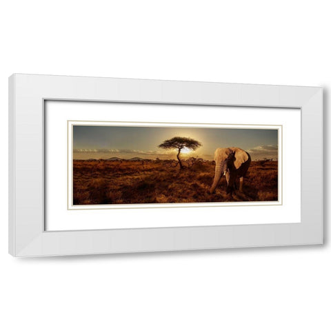 Elephant and Tree White Modern Wood Framed Art Print with Double Matting by Michal, Susan