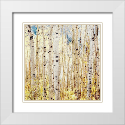 Birch Grove White Modern Wood Framed Art Print with Double Matting by Tyrrell, Lu Anne