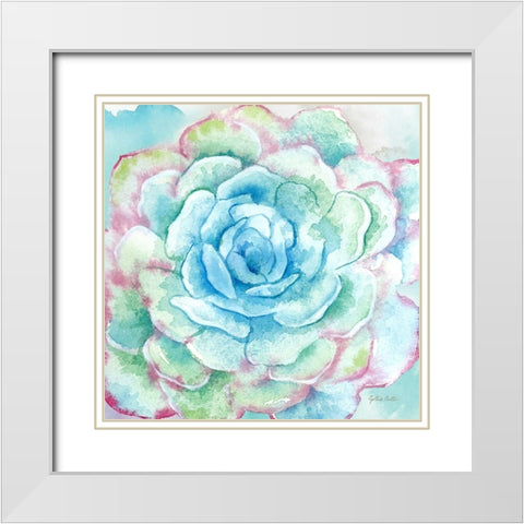 Sweet Succulents I White Modern Wood Framed Art Print with Double Matting by Coulter, Cynthia
