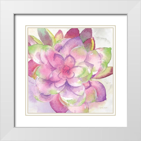 Sweet Succulents III White Modern Wood Framed Art Print with Double Matting by Coulter, Cynthia
