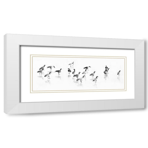 Flock of Canada Geese White Modern Wood Framed Art Print with Double Matting by Tyrrell, LuAnne