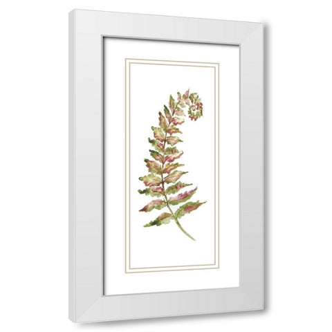 Botanical Fern Single II White Modern Wood Framed Art Print with Double Matting by Tre Sorelle Studios