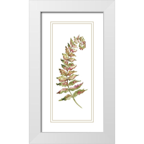 Botanical Fern Single II White Modern Wood Framed Art Print with Double Matting by Tre Sorelle Studios