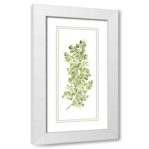 Botanical Fern Single IV White Modern Wood Framed Art Print with Double Matting by Tre Sorelle Studios