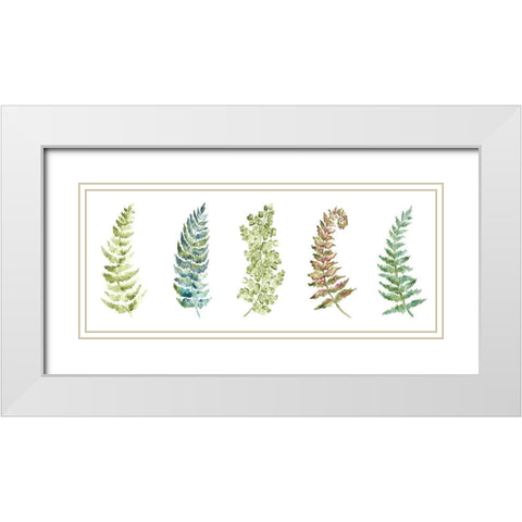 Botanical Ferns Panel White Modern Wood Framed Art Print with Double Matting by Tre Sorelle Studios