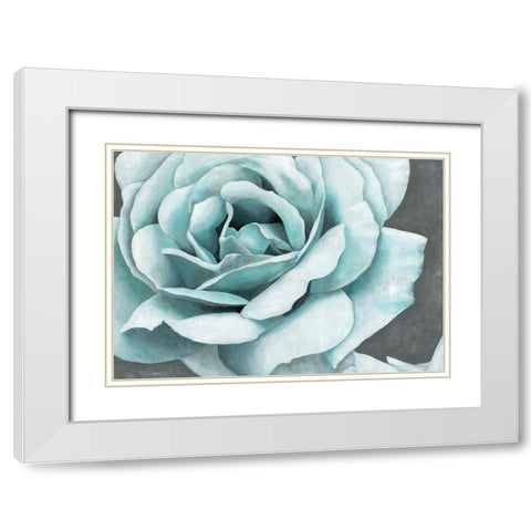 Rose Bloom White Modern Wood Framed Art Print with Double Matting by Cusson, Marie-Elaine