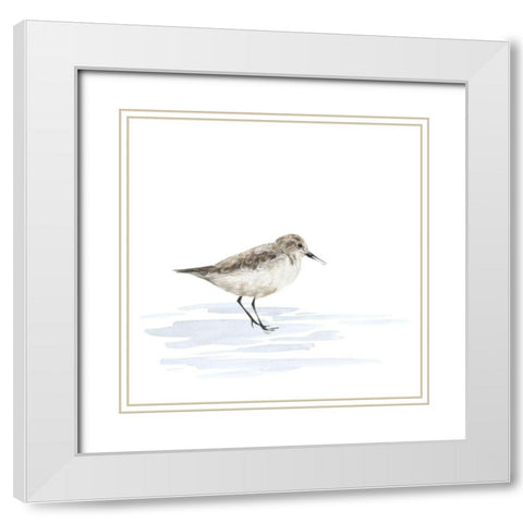 Birds of the Coast on White V White Modern Wood Framed Art Print with Double Matting by Reed, Tara