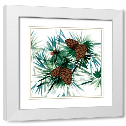 Christmas Hinterland II-Pine Cones White Modern Wood Framed Art Print with Double Matting by Northern Lights