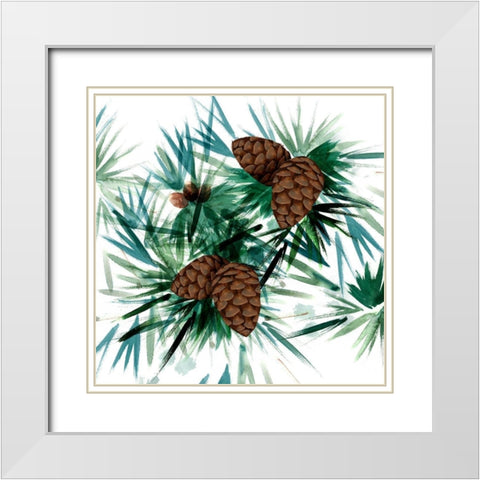 Christmas Hinterland II-Pine Cones White Modern Wood Framed Art Print with Double Matting by Northern Lights