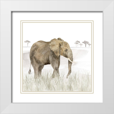 Serengeti Elephant Square White Modern Wood Framed Art Print with Double Matting by Reed, Tara