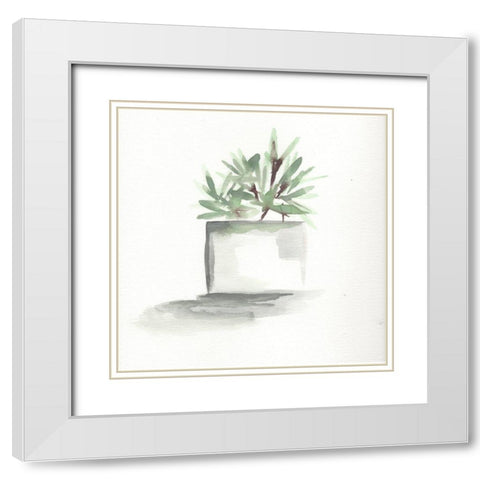 Watercolor Cactus Still Life IV White Modern Wood Framed Art Print with Double Matting by Chapman, Marcy