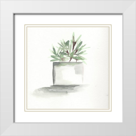 Watercolor Cactus Still Life IV White Modern Wood Framed Art Print with Double Matting by Chapman, Marcy