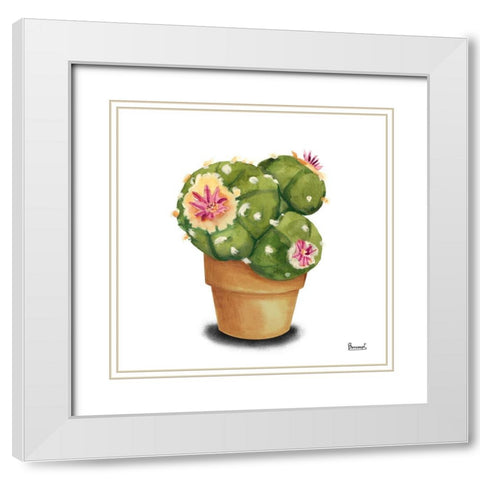 Cactus Flowers VII White Modern Wood Framed Art Print with Double Matting by Bannarot