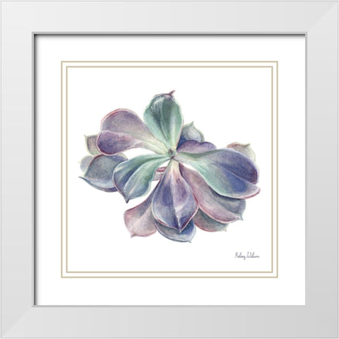 Single Succulents II White Modern Wood Framed Art Print with Double Matting by Wilson, Kelsey
