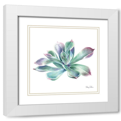 Single Succulents III White Modern Wood Framed Art Print with Double Matting by Wilson, Kelsey