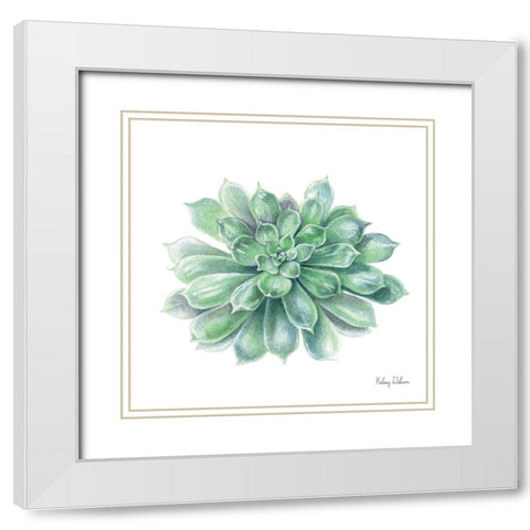 Single Succulents IV White Modern Wood Framed Art Print with Double Matting by Wilson, Kelsey