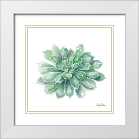 Single Succulents IV White Modern Wood Framed Art Print with Double Matting by Wilson, Kelsey