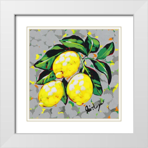 Fruit Sketch Lemons White Modern Wood Framed Art Print with Double Matting by Augustine, Jodi