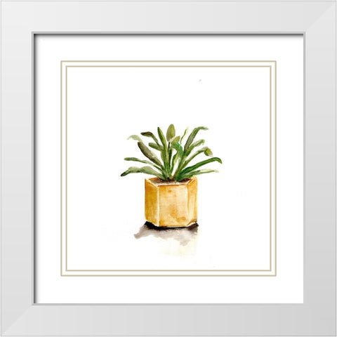 Potted Botanicals II White Modern Wood Framed Art Print with Double Matting by Chapman, Marcy