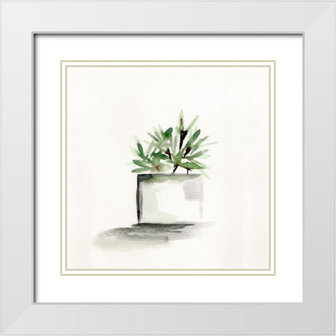 Potted Botanicals IV White Modern Wood Framed Art Print with Double Matting by Chapman, Marcy