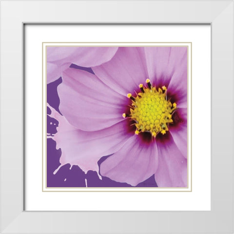 Flower Pop III White Modern Wood Framed Art Print with Double Matting by Cusson, Marie Elaine
